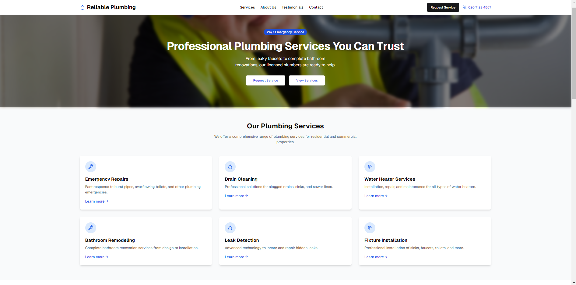 Professional Plumbing Services Homepage